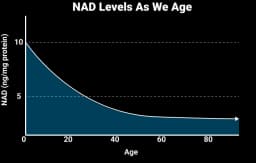 Advanced Mitochondrial Formula ingredient and benefit breakdown