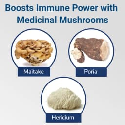 Integrative Digestive Formula visual asset