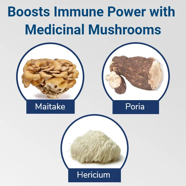 Integrative Digestive Formula visual dossier capture